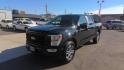 2021 BLACK Ford F-150 XLT SuperCrew 6.5-ft. Bed 4WD (1FTEW1EP0MK) with an 2.7L V6 DOHC 24V engine, 6A transmission, located at 502 S. Riverside Avenue, Medford, OR, 97501, (541) 773-3136, 42.322803, -122.867477 - Photo#0