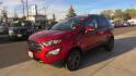 2018 RED Ford EcoSport SES AWD (MAJ6P1CL7JC) with an 2.0L L4 DOHC 16V engine, 6A transmission, located at 502 S. Riverside Avenue, Medford, OR, 97501, (541) 773-3136, 42.322803, -122.867477 - Photo#0